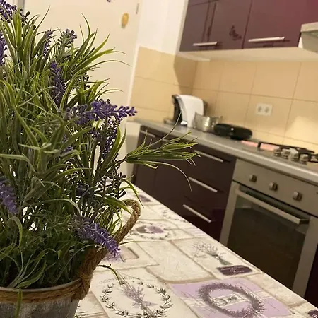 Apartament Flora Апартаменти Брашов